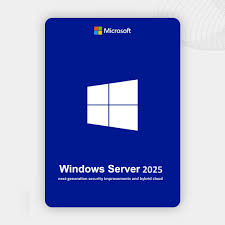 Windows Server 2025  
Standard  Lifetime Key